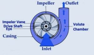 Centrifugal Pump | Types, Parts, Working, Diagram and Applications