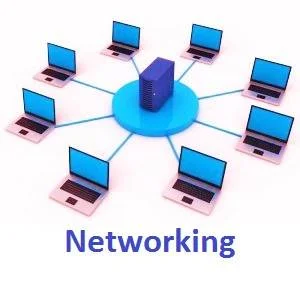Networking || Definition, Types, Advantages, Disadvantages & Applications