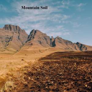 Soil || Definition, Types, Importance & Advantages