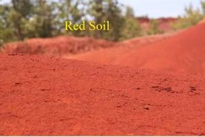 Soil || Definition, Types, Importance & Advantages