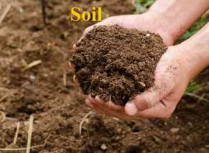 Soil || Definition, Types, Importance & Advantages