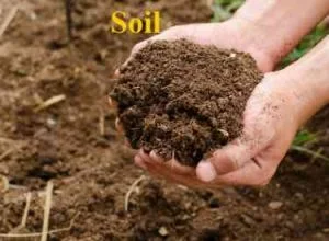 Soil || Definition, Types, Importance & Advantages