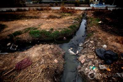 Water Pollution- Introduction,Definition,Causes,Effects&Types